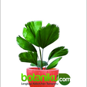 rental tanaman hias hotel