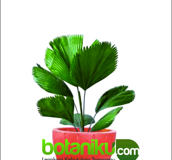 rental tanaman hias hotel